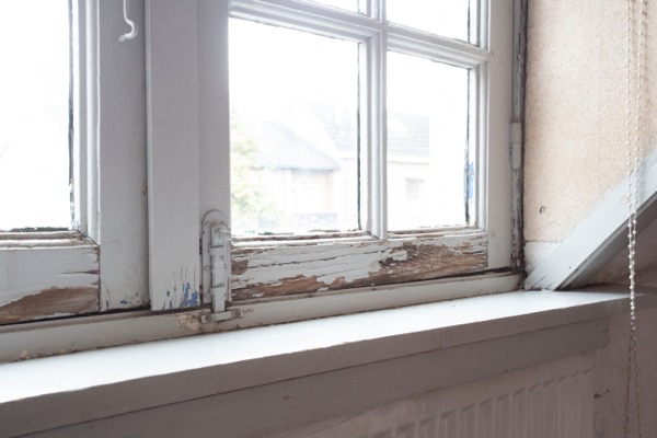 a window frame showing signs of dry rot