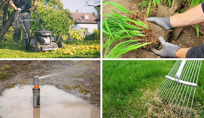 Image montage of healthy lawn care practices