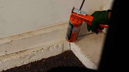 A photo of caulk being applied to a crack in a home's foundation
