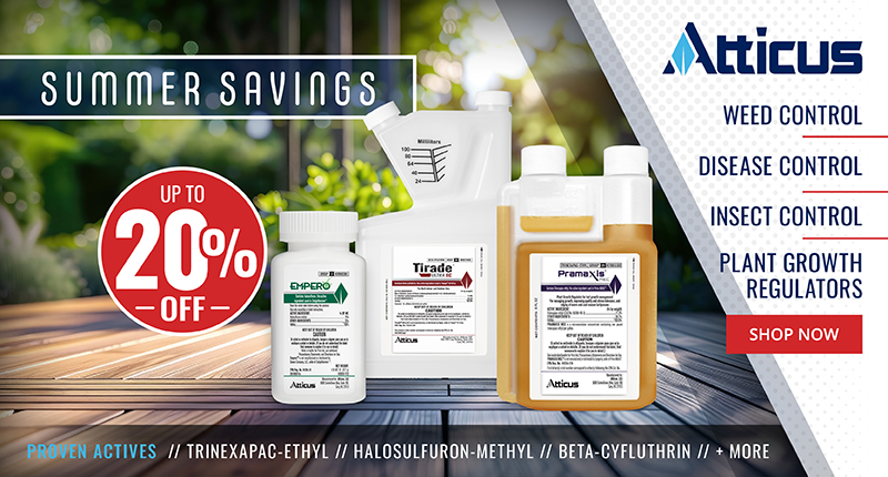 Summer Savings Up To 20% Off Atticus