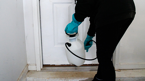 A photo of a person spraying insecticide treatment along the door into their garage