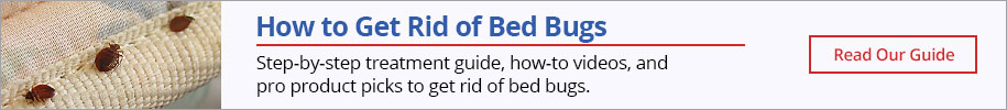 How to Get Rid of Bed Bugs- Read our Guide