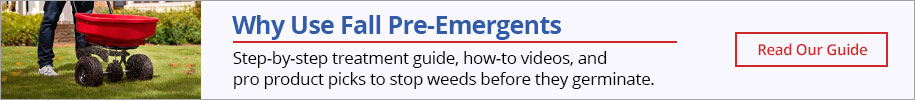 Why Use Fall Pre-Emergents - Read Our Guide
