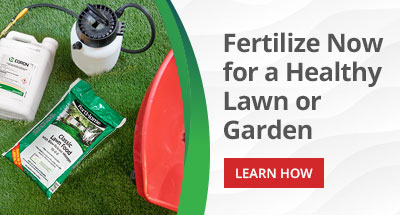 Fertilize Now for a Healthy Lawn or Garden