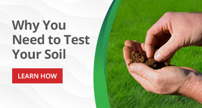 Why You Need to Test Your Soil