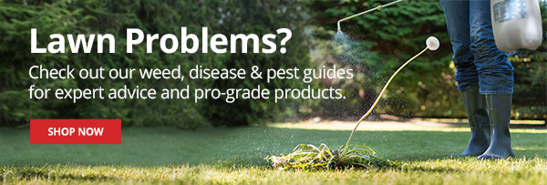 Check out our weed, disease and pest guides for expert advice and pro-grade products