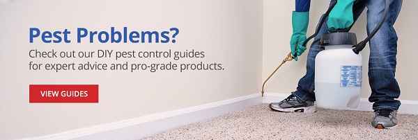 Pest Problems? View Our Guides