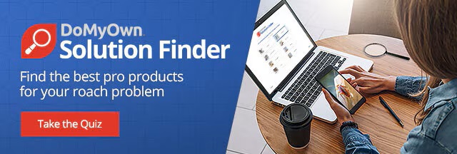 DoMyOwn Roach Solution Finder - Take the Quiz