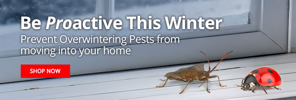 Prevent Overwintering Pests from Entering Your Home