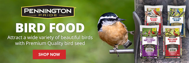 Pennington Bird Food