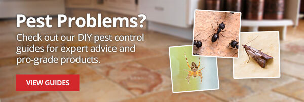 Pest Problems? Check out our DIY pest control guides for expert advice and pro-grade products |VIEW GUIDES|