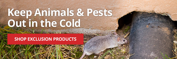 Keep Animals & Pests Out in the Cold - Shop Exclusion Products