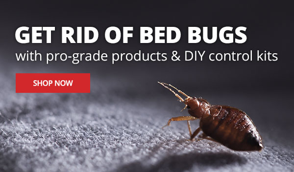 Protect Your Home with Bed Bug Kits and Products