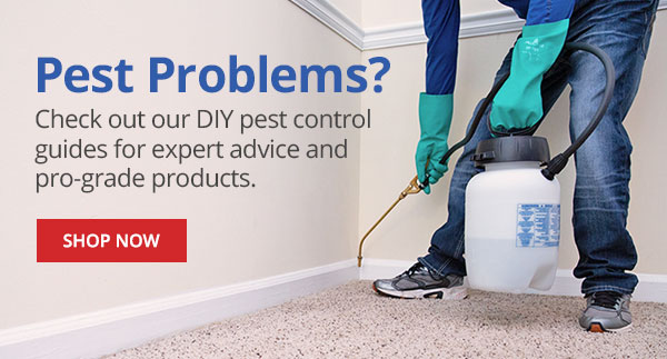 Pest Problems? Check out our DIY pest control guides for expert advice and pro-grade products. VIEW GUIDES