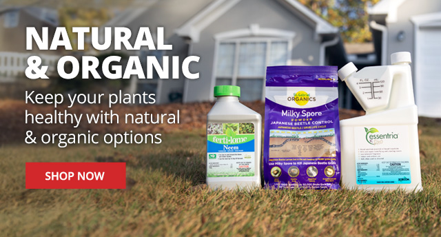 Keep your plants healthy with natural & organic options