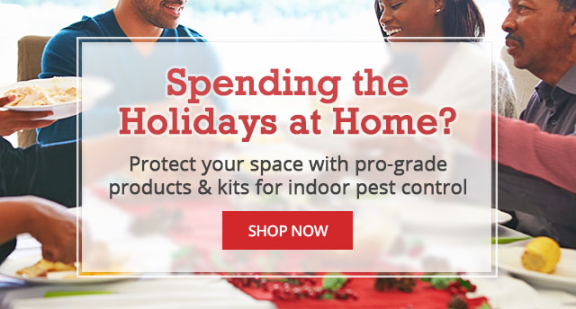 Pest Control Kits & Products - |SHOP NOW|