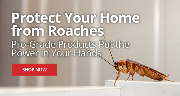 Protect Your Home from Roaches - Pro-Grade Products Put the Power in Your Hands - Shop Now