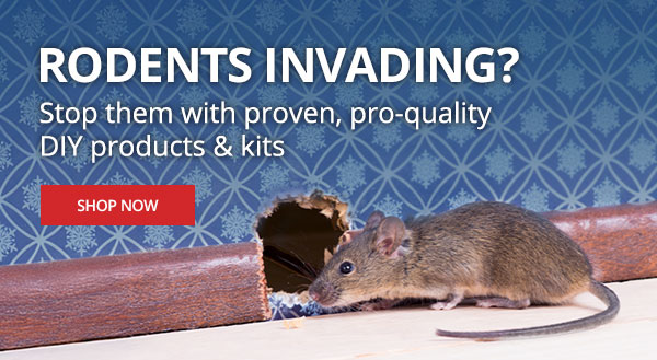 Rodents Invading? Protect your home now - Shop Now