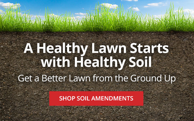 Get a better lawn with Soil Amendments