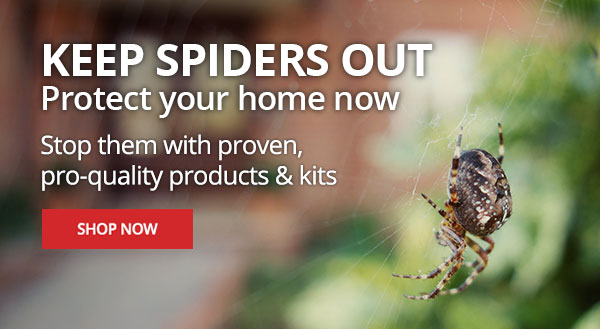 Keep Spiders Out - Protect Your Home Now - Shop Now