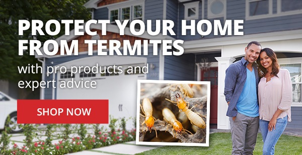 Protect Your Home from Termites - Shop Now