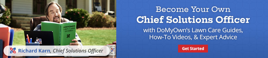 Become Your Own Chief Solutions Officer