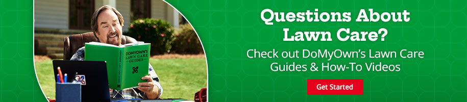 Become Your Own Chief Solutions Officer with DoMyOwn’s Lawn Care Guides, How-To Videos, and Expert Advice