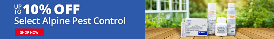 Up to 10% OFF Select Alpine Pest Control - SHOP NOW