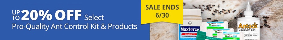 Sale Ends 6/30 – Up To 20% Off Select Pro-Quality Ant Control Kits & Products