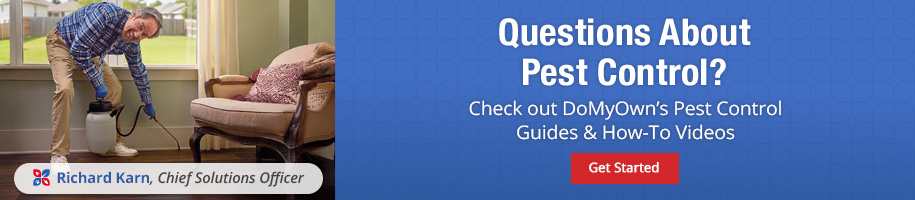 Questions? Ask DoMyOwn's Experts