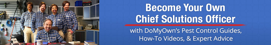 Become Your Own Chief Solutions Officer with DoMyOwn's Pest Control Guides. How-To Videos, & Expert Advice