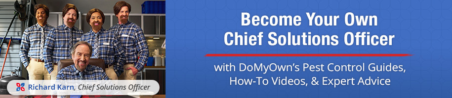 DoMyOwns team of experts are available. Visit Call Chat or Email.