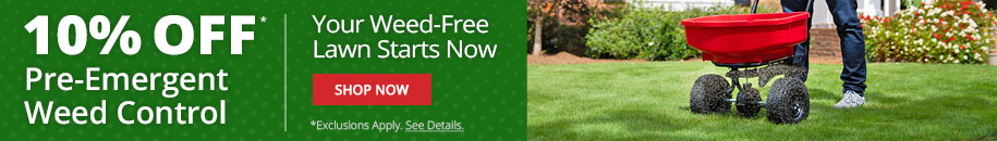 Why Use Spring Pre Emergents Diy Weed Control