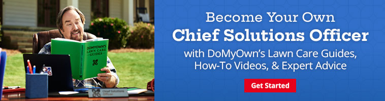Become Your Own Chief Solutions Officer
