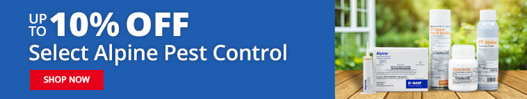 Up to 10% OFF Select Alpine Pest Control - SHOP NOW