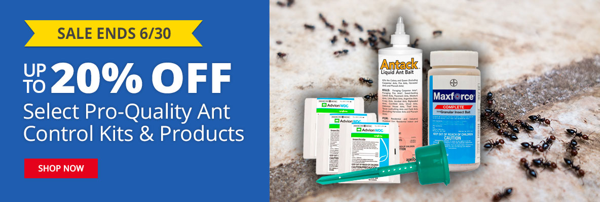Up to 20% Off Select Pro-Quality Ant Control Kits & Products - Sale Ends 6/30 - SHOP NOW