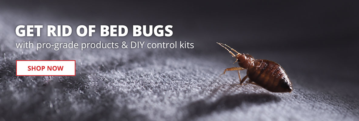 Get Rid of Bed Bugs with pro-grade products and DIY control kits - Shop Now