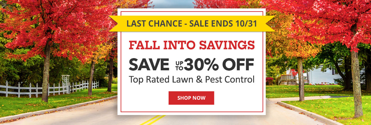 Last Chance- Sale Ends 10/31 Save up to 30% Off Top Rated Lawn and Pest Control