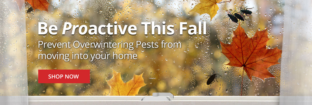 Be Proactive this Fall -Prevent overwintering pests from moving into your home -Shop Now