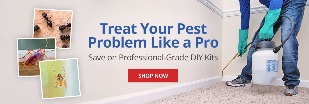 Treat Your Pest Problem Like a Pro- Save on Pro-Grade DIY Kits