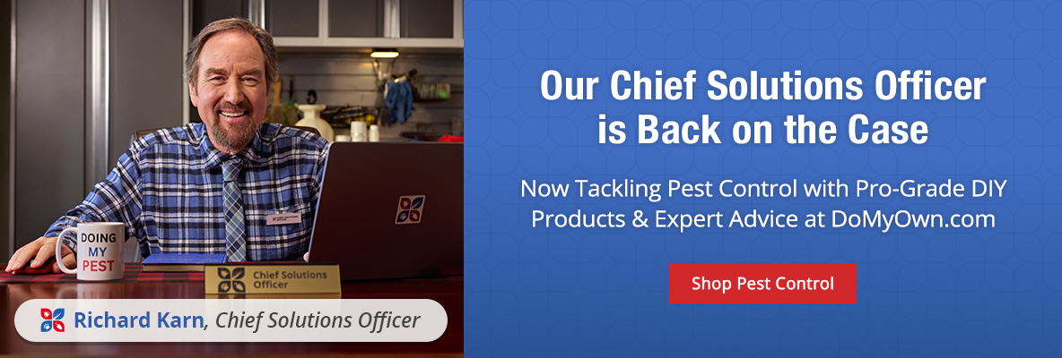 Our Chief Solutions Officer is Back on the Case -Now Tackling Pest Control with Pro-Grade DIY Products & Expert Advice at DoMyOwn.com -Shop Pest Control