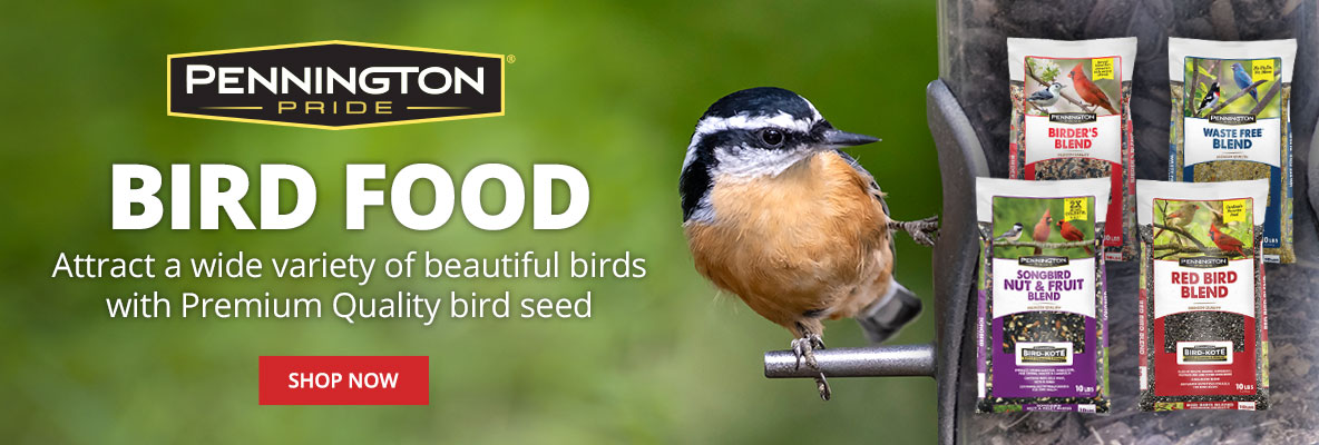 Pennington Bird Food - Attract a wide variety of beautiful birds with premium quality bird seed - Shop Now