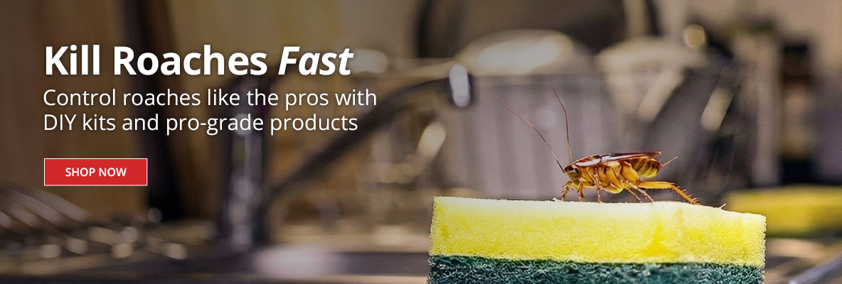 Kill Roaches Fast - Control roaches like the pros with DIY kits and professional grade products