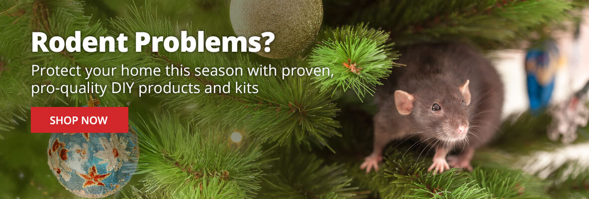Rodent Problems? Protect your home this season with proven, pro-quality DIY products and kits -Shop Now