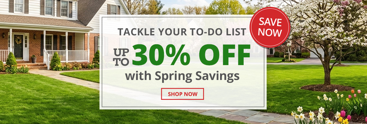 Up To 30% Off with Spring Savings - Tackle Your To-do List - Shop Now