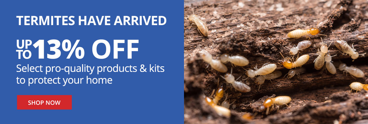 Termites have arrived up to 13% Off select pro-quality products & kits to protect your home