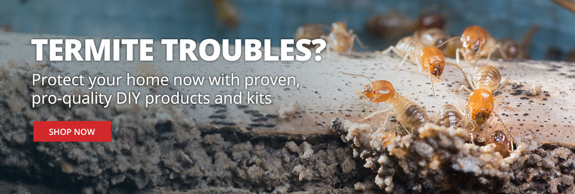 Termite Troubles? Protect your home now with proven pro-quality DIY products and kits