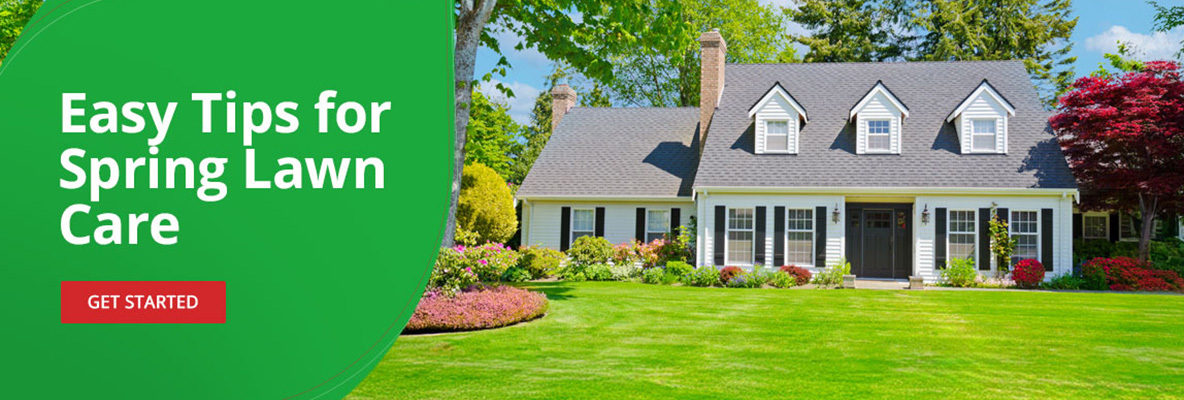 Easy Tips for Spring Lawn Care -Get Started