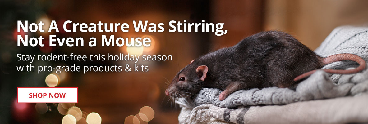 Stay rodent-free this holiday season with pro-grade products and kits