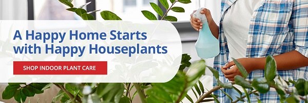 A happy home Starts with Happy Houseplants